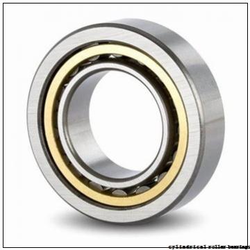 320 mm x 480 mm x 121 mm  ISO NCF3064 V cylindrical roller bearings
