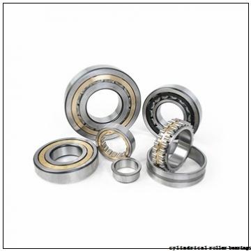 20 mm x 52 mm x 21 mm  NACHI NUP 2304 E cylindrical roller bearings