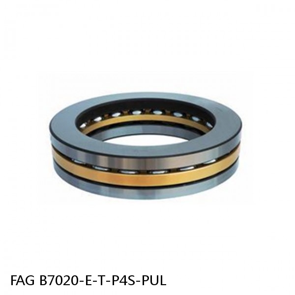 B7020-E-T-P4S-PUL FAG high precision ball bearings