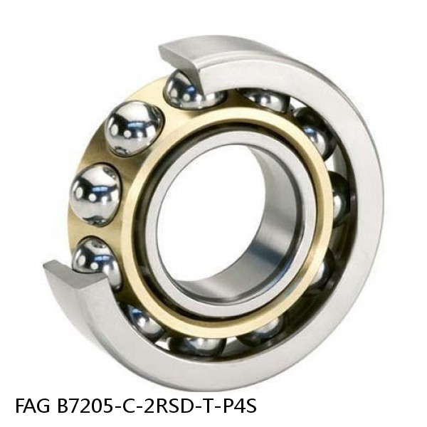B7205-C-2RSD-T-P4S FAG high precision bearings