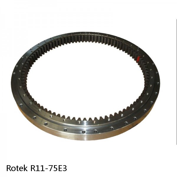 R11-75E3 Rotek Slewing Ring Bearings