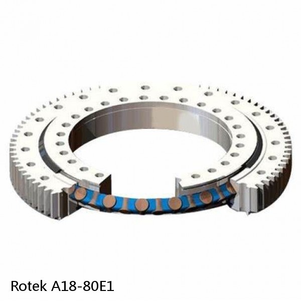 A18-80E1 Rotek Slewing Ring Bearings