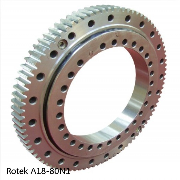 A18-80N1 Rotek Slewing Ring Bearings