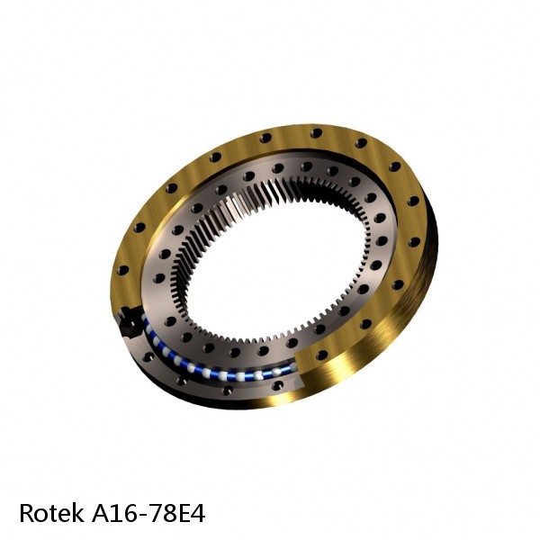 A16-78E4 Rotek Slewing Ring Bearings