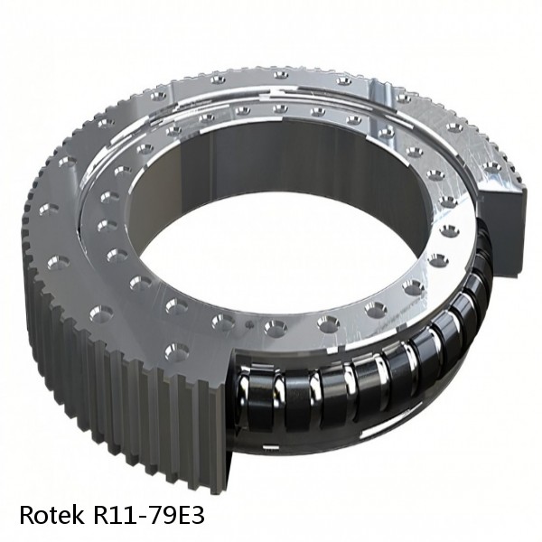 R11-79E3 Rotek Slewing Ring Bearings