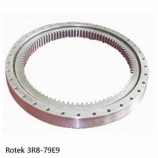 3R8-79E9 Rotek Slewing Ring Bearings