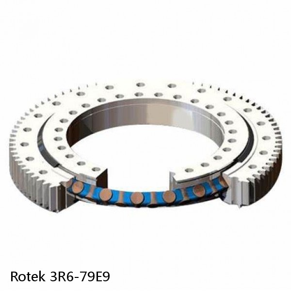 3R6-79E9 Rotek Slewing Ring Bearings