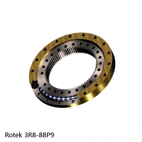 3R8-88P9 Rotek Slewing Ring Bearings