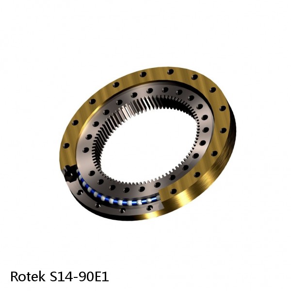 S14-90E1 Rotek Slewing Ring Bearings