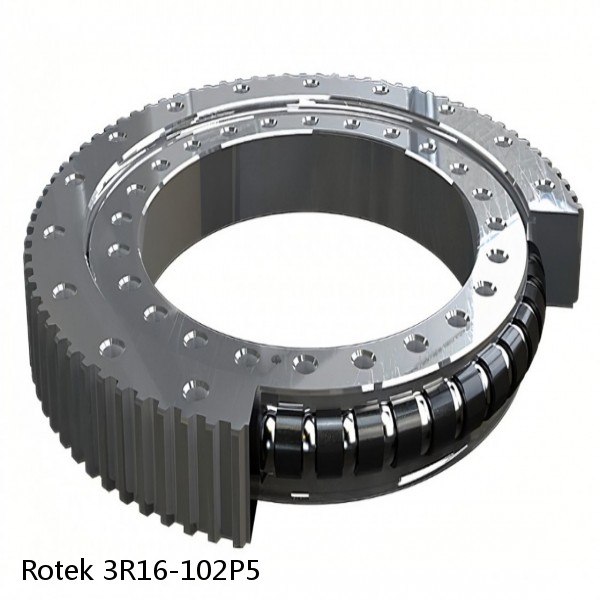 3R16-102P5 Rotek Slewing Ring Bearings