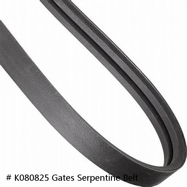 # K080825 Gates Serpentine Belt