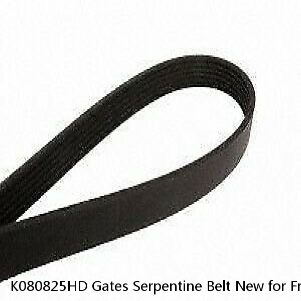 K080825HD Gates Serpentine Belt New for Freightliner M2 106 112 MT35 MT45 MT55
